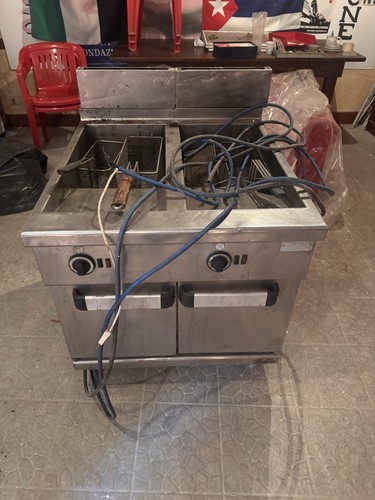 Friggitrice elettrica